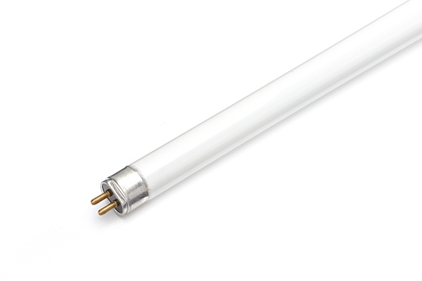 High efficiency T5 linear fluorescent tube with 3' length and 16mm diameter.